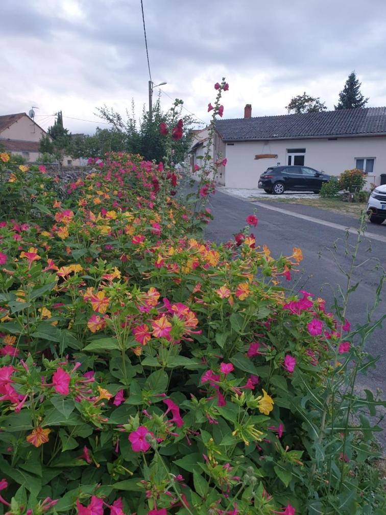 Chez Samb Villa Lussac-les-Châteaux Eksteriør billede